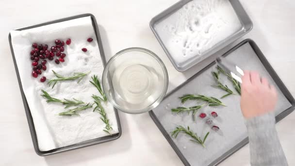 Step Step Flat Lay Covering Fresh Cranberries Rosemary Sugar Decorate — Stock Video