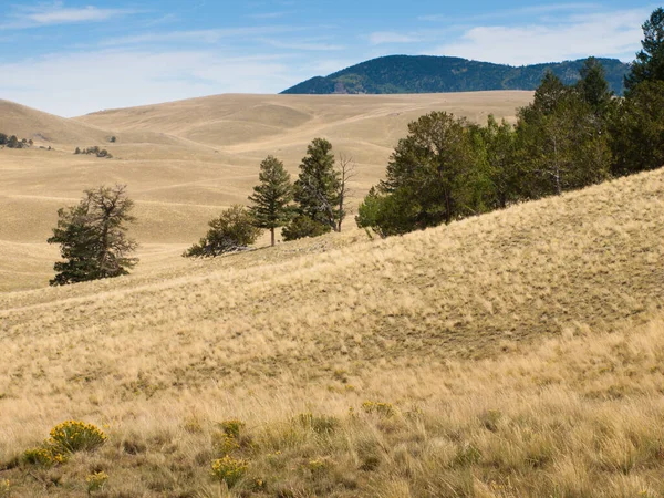 Kolorados Pagórkowaty Krajobraz Wczesną Jesienią — Zdjęcie stockowe