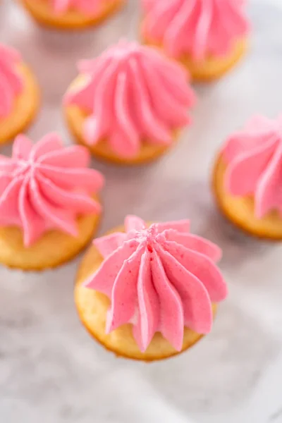 Piping Ombre Pink Buttercream Frosting Mini Vanilla Cupcakes — Stok Foto