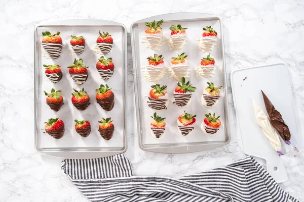 Flat Lay Organic Strawberries Dipped Chocolate Drying Parchment Paper — Stock Photo, Image