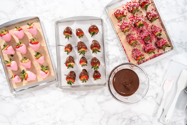 Flat Lay Preparing Chocolate Covered Strawberries Cookie Tray — Stock Photo, Image