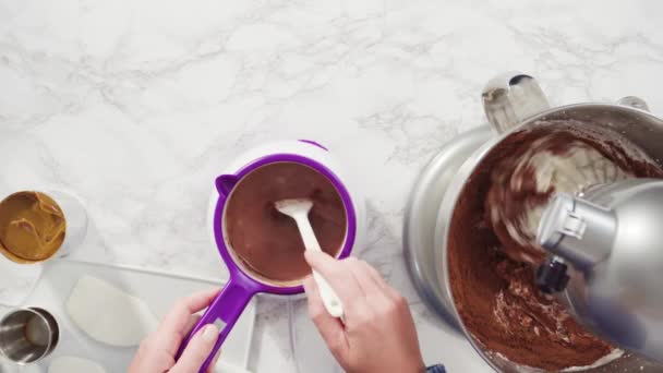 Deitado Passo Passo Preparando Sorvete Chocolate Caseiro Misturador Cozinha — Vídeo de Stock