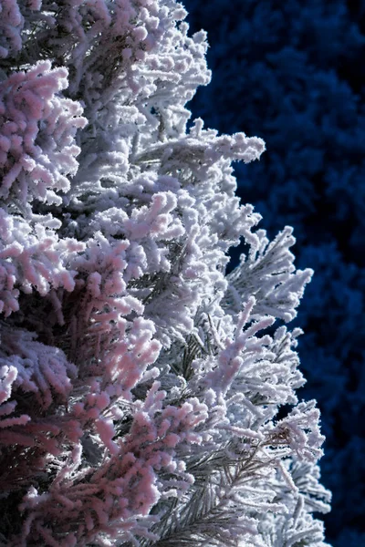 Flocked Christmas Tree Multi Colors — Stock Photo, Image