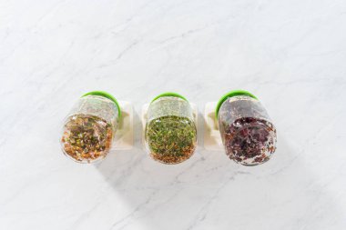 Altıncı gün. Düz yatıyordu. Mutfak tezgahında filizlenen kapağı olan bir kavanozda organik filizler yetişiyor..