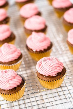 Ahududu krem peynirli kremalı çikolatalı kekler..