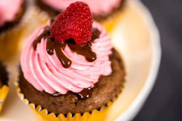 Gourmet Schokolade Himbeer Cupcakes Mit Schokolade Ganache Beträufelt Und Mit — Stockfoto