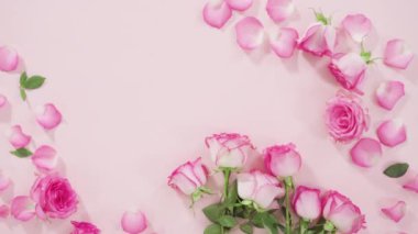 Zaman aşımı. Düz yatıyordu. Pembe güller ve pembe arka planda gül yaprakları.