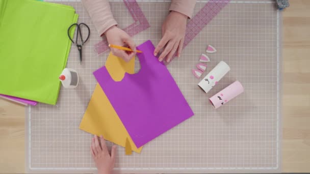 Flat Lay Step Step Making Unicorns Out Paper Empty Toilet — Stock Video