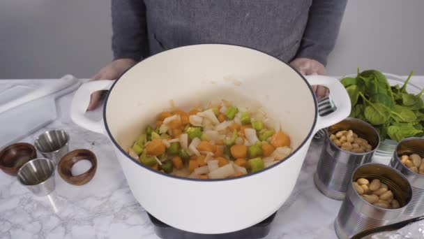 Gătit Supă Vegetariană Fasole Albă Cuptor Olandez Din Fontă — Videoclip de stoc