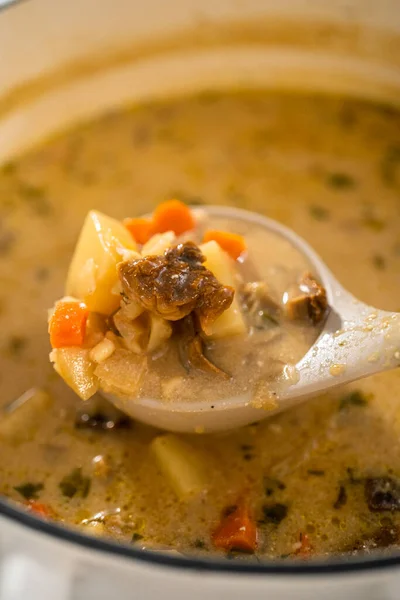 Freshly cooked creamy wild mushroom soup made in an enameled dutch oven with a serving spoon.