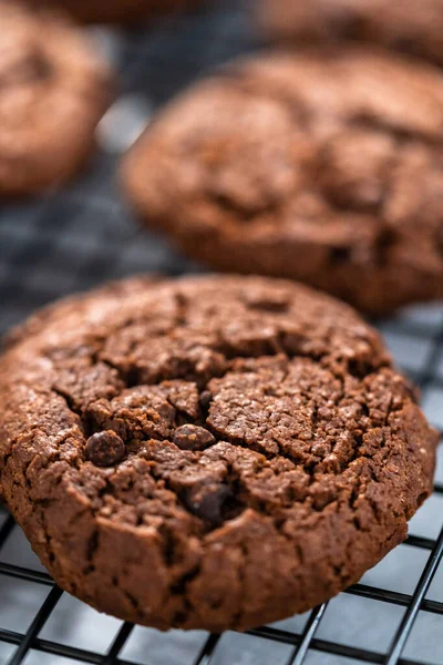 Vers Gebakken Koekjes Met Dubbele Chocoladechip Een Koelrek — Stockfoto