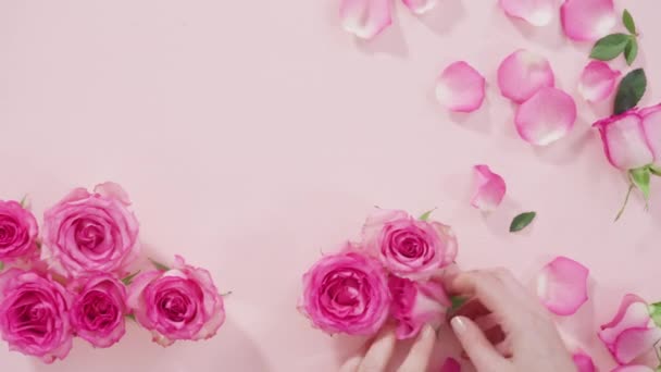 평평하게 배경에 분홍빛 장미와 — 비디오