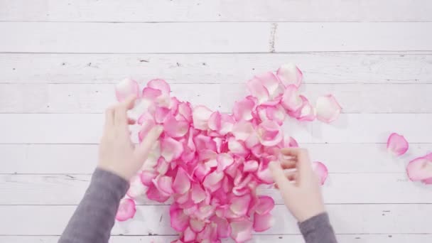 Ett Platt Ligg Hjärtat Form Gjord Rosa Rosenblad Målad Vit — Stockvideo