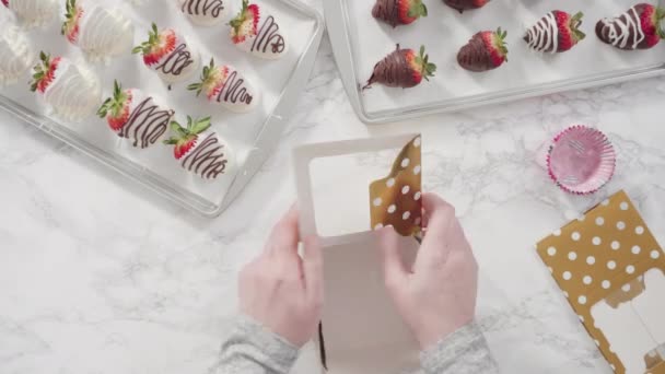 Lapso Tiempo Acostado Paso Paso Embalaje Fresas Bañadas Chocolate Una — Vídeos de Stock