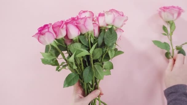 Ett Platt Ligg Färska Rosa Rosor Rosa Bakgrund — Stockvideo