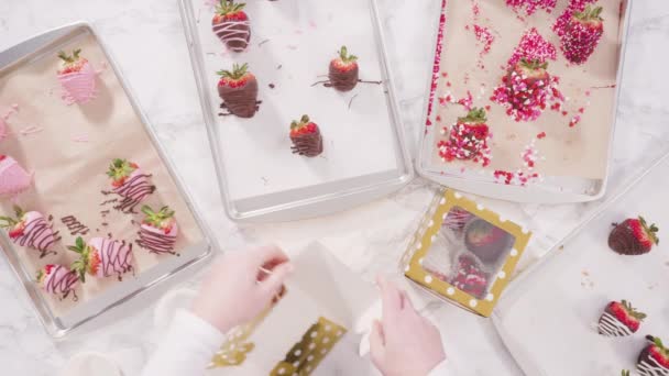 Pose Plate Pas Pas Emballage Gourmet Chocolat Trempé Fraises Dans — Video