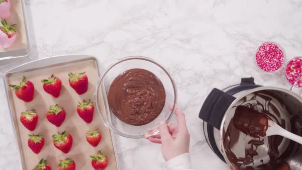 Flach Lag Schritt Für Schritt Bio Erdbeeren Geschmolzene Milchschokolade Tauchen — Stockvideo