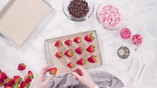 Acostado Paso Paso Organizar Fresas Orgánicas Una Bandeja Para Hornear — Vídeo de stock