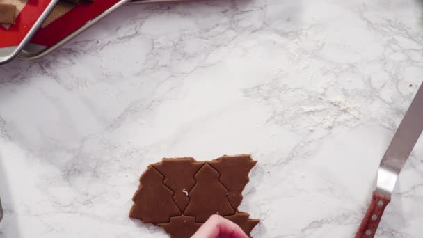 Acostado Paso Paso Cortar Formas Con Cortador Galletas Navidad Masa — Vídeo de stock