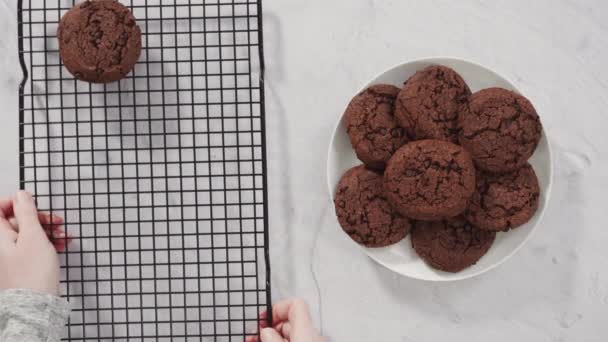 Pose Plate Biscuits Aux Pépites Chocolat Double Fraîchement Cuits — Video