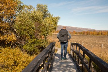 Sırt çantalı adam Pathway 'de yürüyüp gidiyor.