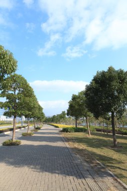 yürüyüş parkurları kentsel sokak