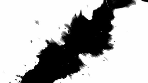 Tintavirág. Gyönyörű fekete akvarell tinta csepp — Stock videók