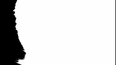 Beyaz arka plana siyah mürekkep damlıyor. Beyaz mürekkep dağılımı