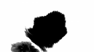 Beyaz arka plana siyah mürekkep damlıyor. Beyaz mürekkep dağılımı