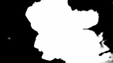 Mürekkep çiçeği. Siyah arkaplanda beyaz soyut lekeler.