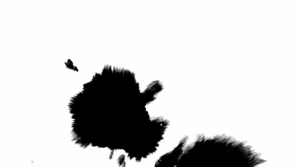 抽象的な背景をインク。ブラックグリッター液スプラッシュ — ストック動画