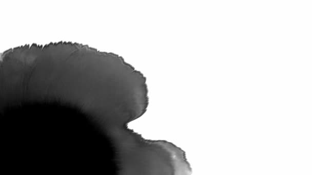 Αφηρημένο φόντο μελανιού. Μαύρο γκλίτερ υγρό splash — Αρχείο Βίντεο