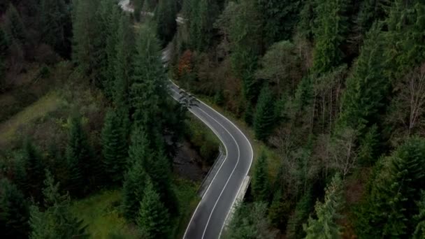 La autopista pasa a través de un bosque maduro de abetos en las montañas de los Cárpatos de Ucrania. aéreos — Vídeo de stock
