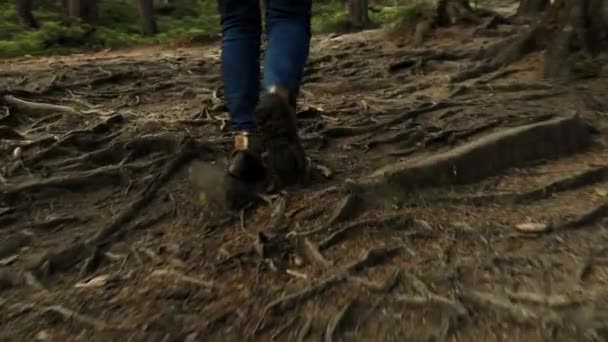 Closeup of feet in hiking boots of mountaineer tourist hiker climbing forest — Stock Video