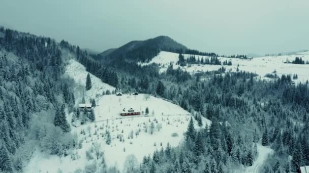 Aérien beau paysage de montagne d'hiver. Drone se déplaçant au-dessus de la forêt de pins enneigés par temps sombre et humide. — Video