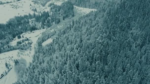 Aérien beau paysage de montagne d'hiver. Drone se déplaçant au-dessus de la forêt de pins enneigés par temps sombre et humide. — Video