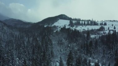 Hava güzel kış dağ manzarası. Karanlık ve kasvetli havada, karlı çam ormanlarının üzerinde hareket eden bir dron..