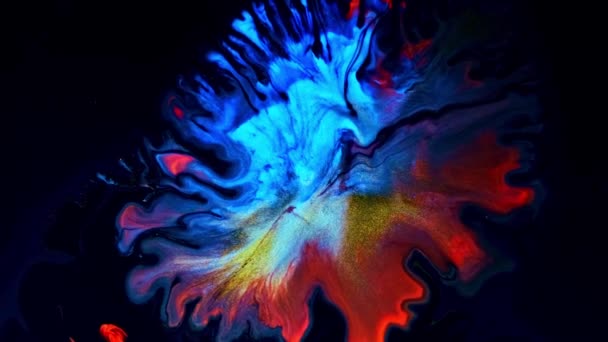 Abstrait rouge bleu or couleur mouvement fond fluide art fermer — Video