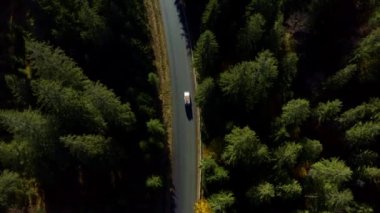 Ukrayna Karpat Dağları 'ndaki otoban ormanı. hava durumu