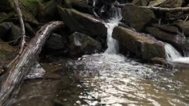 Ukrayna dağlarında küçük bir dağ deresi