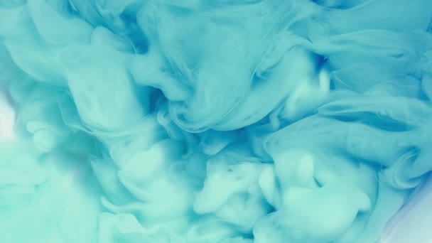 流体芸術インクスプラッシュモーション。青煙雲パフフロー上の黒抽象アートの背景 — ストック動画