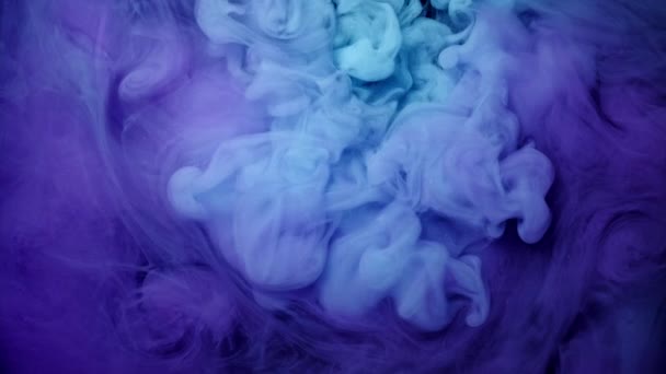 Vivo colorido púrpura azul rosa de pintura acrílica gota nube movimiento textura fondo — Vídeo de stock