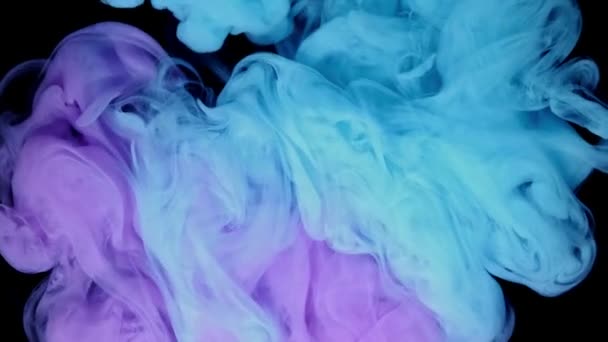 Pastel barva modrá fialová růžová akrylová barva kapka pohybu v podvodní — Stock video