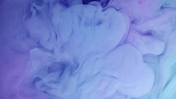 Пастельный цвет синий фиолетовый розовый акриловая краска падение движения под водой — стоковое видео