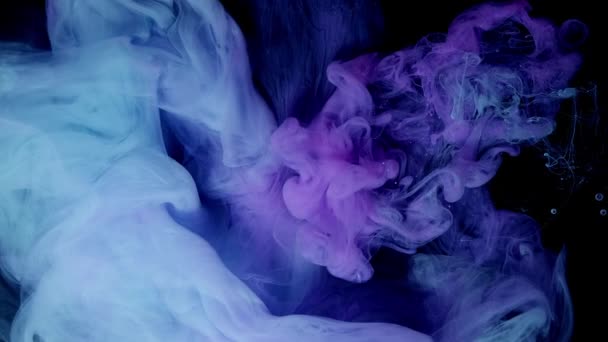 Яркий красочный фиолетовый синий розовый акриловой краски падение облака движения текстуры — стоковое видео