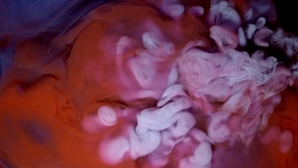 Colore rosso e blu gocce di vernice in acqua con sfondo nero, mix di colori astratti — Video Stock