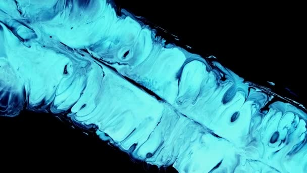 Vätskekonstritning video, abstrakt blå akryl konsistens med färgglada vågor. — Stockvideo