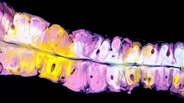 Akrylvätskekonst. rosa gul vit makro struktur experimentella färger rörelse. svart bakgrund — Stockvideo