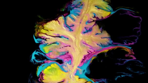 Flüssige flüssige Kunst Regenbogen-Acryl-Ölfarben Textur. Hintergrund abstrakte Mischung Farbeffekt. Flüssig gefärbte Kunstwerke aus Acryl plätschern dahin. Fluide Kunst Textur überfließenden Farben — Stockvideo