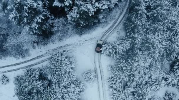 Winter snow road road in forest. Aerial — Stock videók